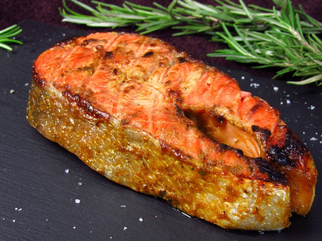 salmon, fish, food