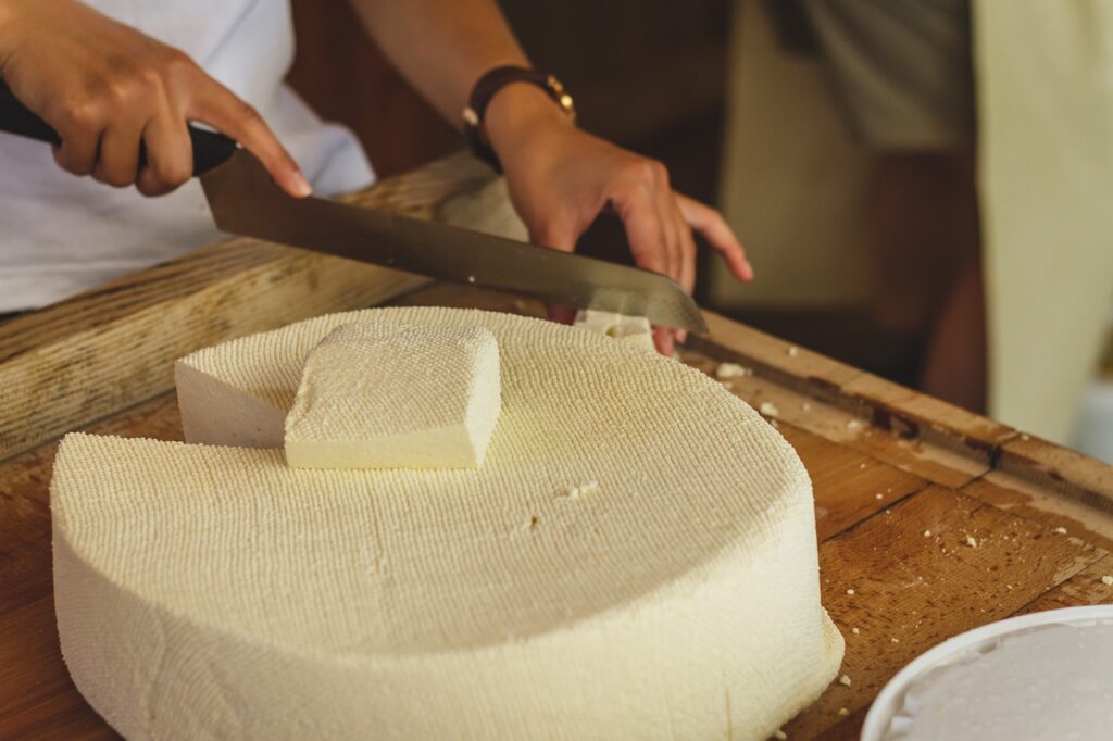 raw, cheese, cheese factory